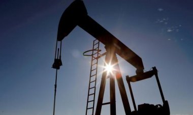 ABD'nin petrol sondaj kulesi sayısı azaldı