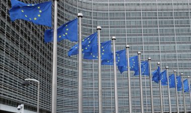 AB kurumları İsrail'e karşı eylemsizliği nedeniyle Adalet Divanına şikayet edildi