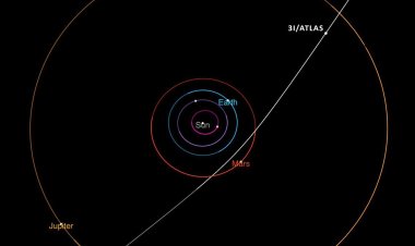 Harvard profesörü: Dünya'ya doğru gelen cisim uzaylı aracı olabilir