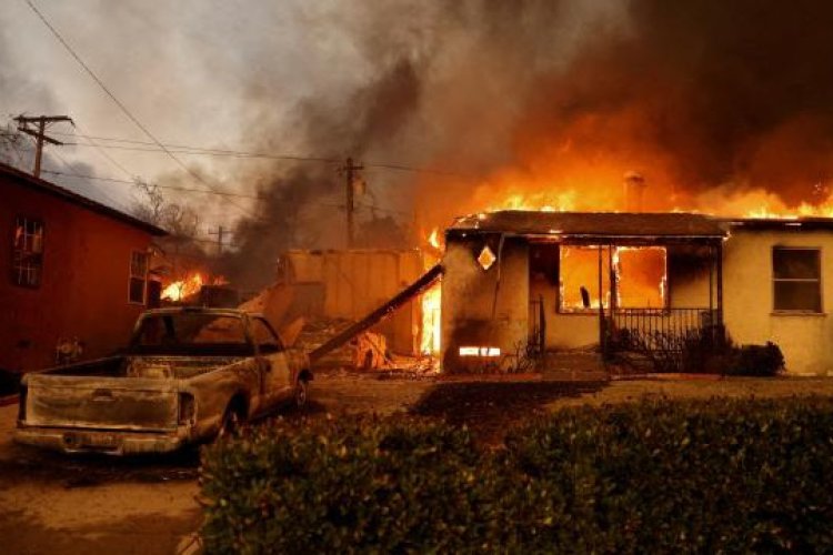 California'da çıkan yangınlar 29 bin hektardan fazla alana yayıldı