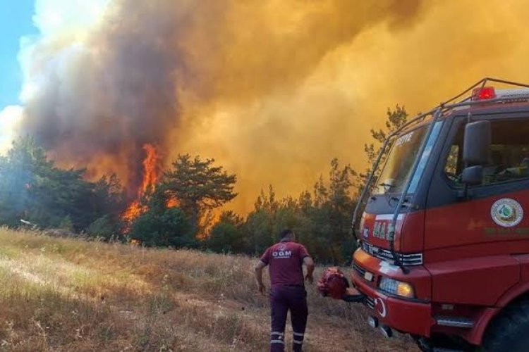 Alevlerin arasında kalan 11 orman işçisi hayatını kaybetti