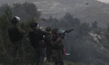 İşgalci İsrail Filistinlilerin ağaçlarına da göz dikti