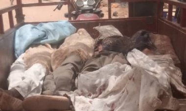 BM: “Hızlı Destek” güçleri El Fasher’de 89 sivili katletti, BAE suça ortak