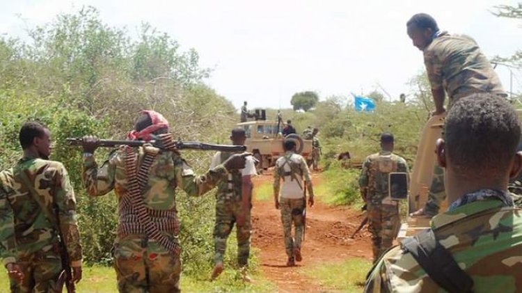 Somali'de düzenlenen operasyonda 100’den fazla Eş-Şebab Üyesi yaşamını yitirdi