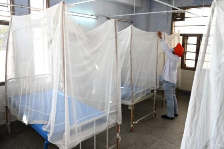 Hindistan'da beyin yiyen amipten 19 kişi öldü
