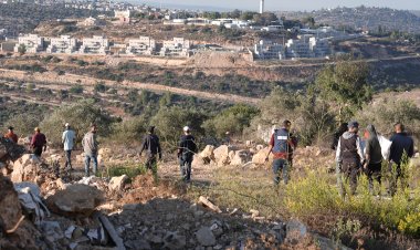 İşgalci İsrail askerleri Batı Şeria’da zeytin toplayan Filistinli çiftçilere ateş açtı