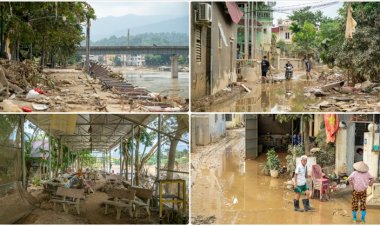 Şiddetli yağışların etkili olduğu Vietnam'da evler ve tarım arazileri sular altında kaldı