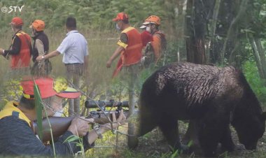 Japonya, ayıları avlamak için avcı kiralayacak