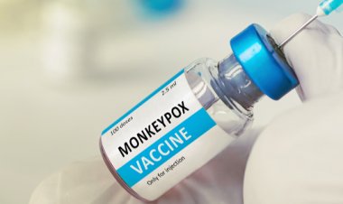 DSÖ'den M çiçeği virüsü için küresel salgın uyarısı