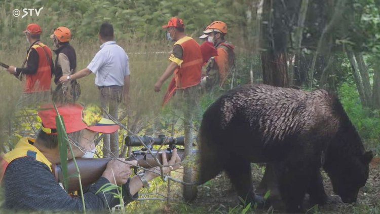 Japonya, ayıları avlamak için avcı kiralayacak