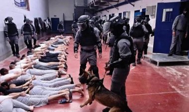 Merdavi: Ben-Gvir ve terörist işgal hükümeti esirlerin katlini meşrulaştırıyor