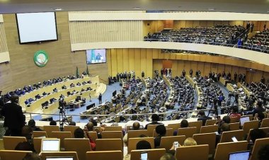 Afrika Birliği, ABD'nin Nijerya'ya yönelik son açıklamalarından endişeli