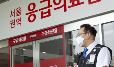 Güney Kore'de Afrika domuz vebası vakasından dolayı kırmızı alarm ilan edildi