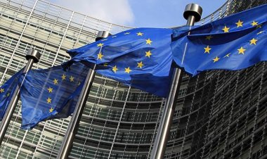 AB'de her üç kadından biri şiddete maruz kalıyor