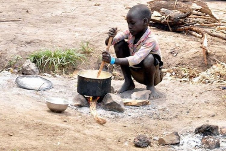 Afrika ülkesi Malavi'de gıda krizi