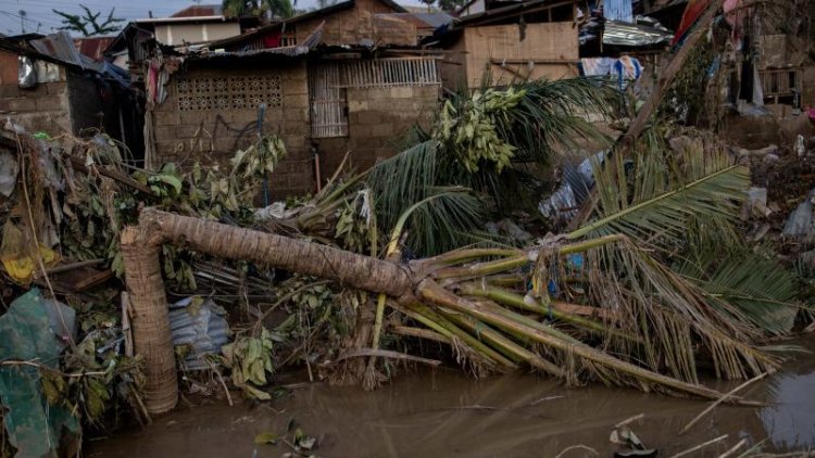 Filipinler'de Kalmaegi Tayfunu'nda hayatını kaybedenlerin sayısı 224'e çıktı