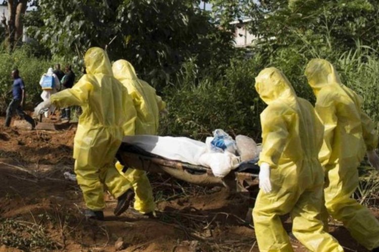 Nijerya'da Lassa ateşi nedeniyle ölenlerin sayısı artıyor