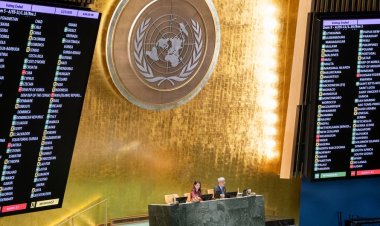 İnsan hakları uzmanları: “BM’nin sistemi çöktü, reform kaçınılmaz”