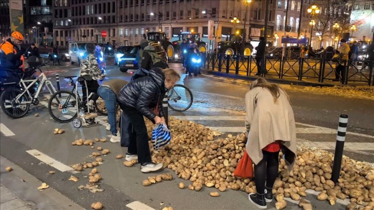 Brüksel'de çiftçilerin protesto için yollara döktüğü patatesleri bazı vatandaşlar topladı