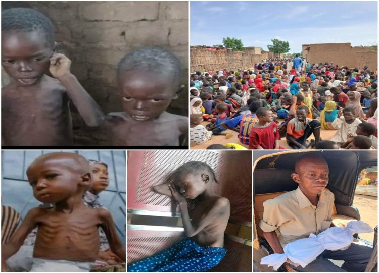 Sudan alarm veriyor: 33 milyon kişi açlıkla yüz yüze