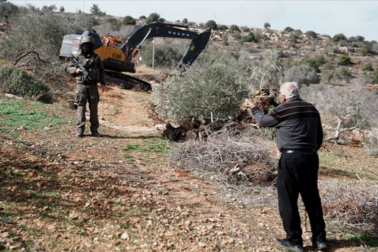 Filistinli 72 bin çiftçi aile İsraillilerin saldırılarından dolayı yardıma muhtaç