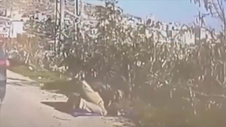 Namaz kılan Filistinliyi ATV’yle ezdi: Siyonist saldırgan yedek asker çıktı