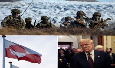 Beyaz Saray: ABD, Grönland için “askeri seçenek dahil” her yolu masada tutuyor