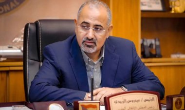 Güney Yemen'de kriz derinleşiyor: Zübeydi nerede?