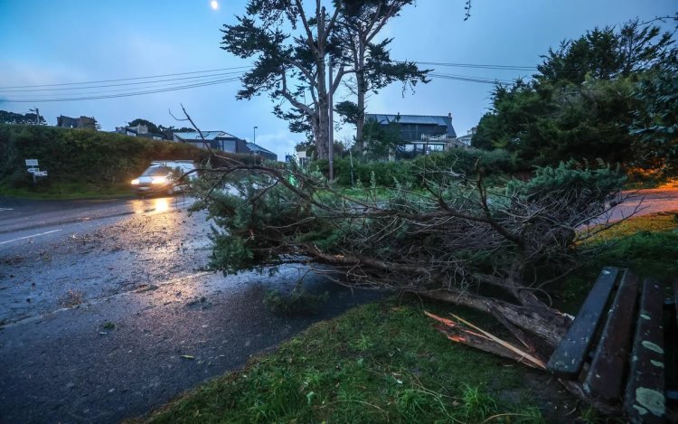 Fransa'da etkili olan Goretti Fırtınası nedeniyle 380 bin hane elektriksiz kaldı
