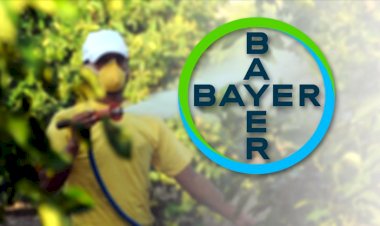 Bayer'e 80 milyon dolarlık kanser cezası