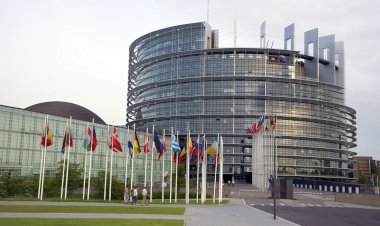 5 soruda Avrupa Parlamentosu seçimleri