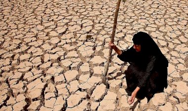 Dünya'nın 2019 yılı için doğal kaynaklarını tükettik