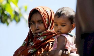 Bangladeş'teki dang humması vaka sayısı 32 bin 340'a yükseldi