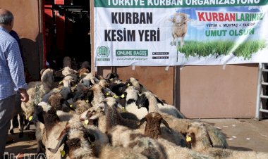 Batman’da muhtaçların yüzü 'kurban eti' ile gülecek