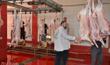 Avrupa Yetim Eli Türkiye’de kurban eti dağıtacak