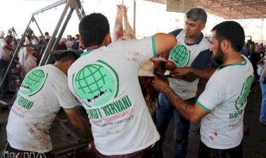 İstanbul, Van ve Gaziantep Umut Kervanı kurban kesimlerini gerçekleştirdi