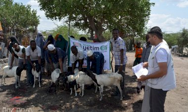 Hayırseverlerin bağışladığı kurbanlar Afrika'da kesildi