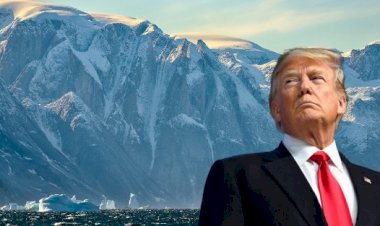 Wall Street Journal: Trump Grönland'i satın almak istiyor