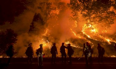 Amazonlar için G7 yardımını reddeden Brezilya, İsrail'in yardım teklifini kabul etti