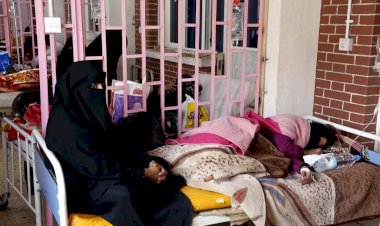 İnsanlık suçunda ortaklık