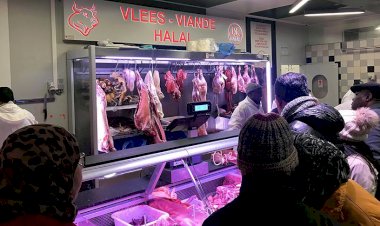 Belçika'nın Valonya bölgesinde helal kesim yasağı başladı