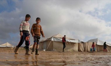 'Iraklı göçmenler kamplardan zorla gönderiliyor'