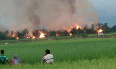 'Yıkılan Arakan köylerinin yerinde hükümet ve polis yerleşkeleri var'