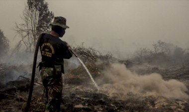 Endonezya ve Malezya'daki orman yangınlarından 40 milyon kişi etkilendi