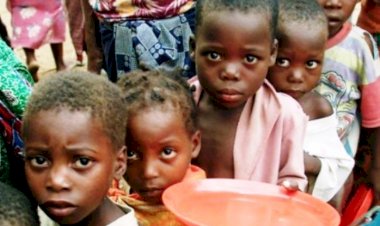 UNICEF'den Nijerya'da açlık krizi uyarısı