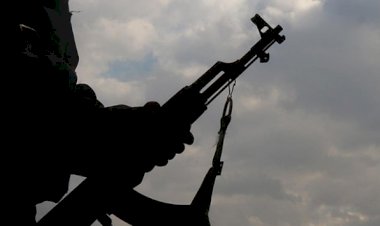 ABD 2 DEAŞ militanını gözetimine aldı