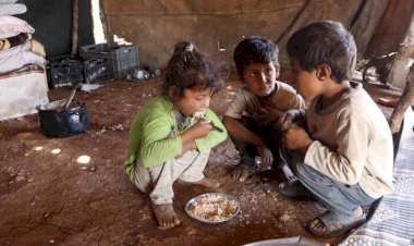 Dünyada 1,3 milyar yoksul yaşıyor