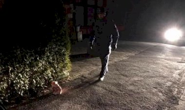 Almanya'da cami inşaatına domuz kafası bırakıldı