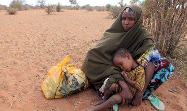 BM: Güney Afrika'da 45 milyon kişi 6 ay içinde kıtlık tehlikesiyle karşı karşıya kalacak