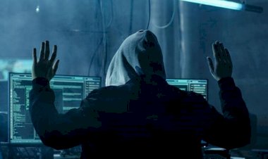 Senegal'de 49 kişilik Nijeryalı hacker şebekesi çökertildi